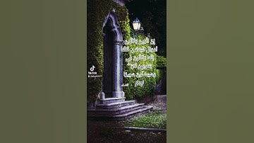 تلاوة مباركة للشيخ عادل ريان