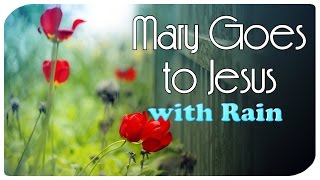 Mary Goes to Jesus (with Rain) Resimi