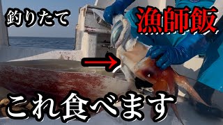 ［漁師飯］獲れたて極上イカを捌いてみた！！