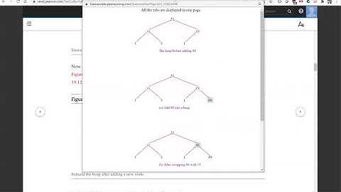 Daniel Liang C++ Section 19.6