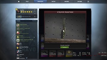 Unboxing Bravo Case CS:GO