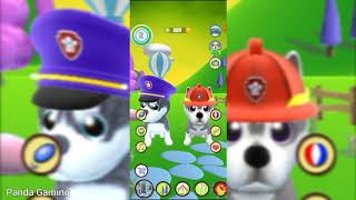 Talking Husky Dog /Fun Game, Gameplay 2020 screenshot 5