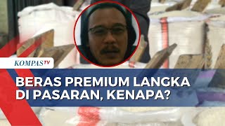 Guru Besar IPB Angkat Bicara soal Penyebab Beras Premium Langka di Pasaran
