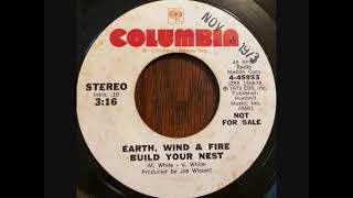 Earth, Wind &amp; Fire – Build Your Nest