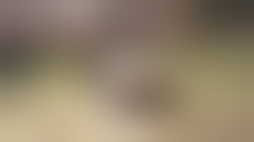 NFS Most Wanted Challenge Series 1 & 2