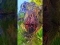 A morte dos dinossauros dos filmes Jurassic! #jurassicworld #jurassicpark3 #death #edit #viralshorts