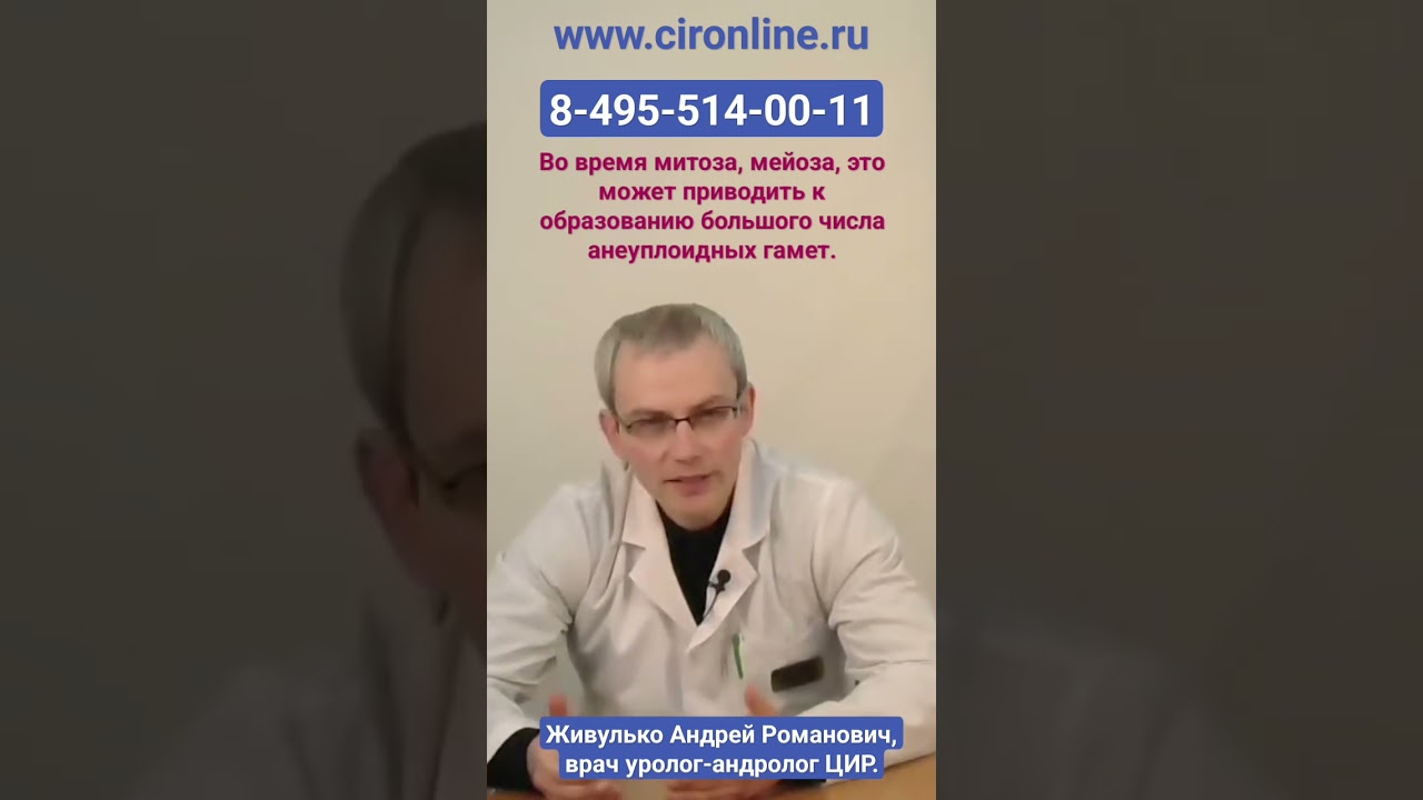 Анеуплоидия сперматозоидов. Причины анеуплоидии. Живулько А.Р.