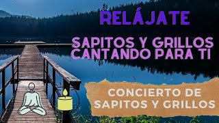 Música relajante ¡SAPITOS Y GRILLOS cantando para ti!