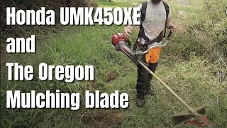 Honda UMK450XE Brushcutter and The Oregon oneforall mulching blade  unstoppable