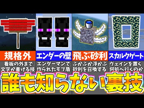 【海外検証】謎が多すぎるマインクラフト１０選【まいくら・マインクラフト】