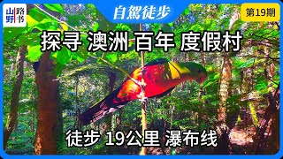 探寻 澳洲 黄金海岸 O'Reilly 热带雨林 度假村 \& 徒步 19公里 瀑布线