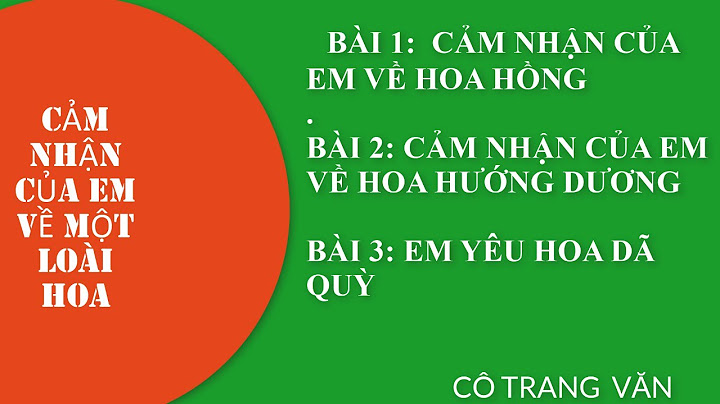 Dàn ý bài tập làm văn số 2 lớp 7 năm 2024