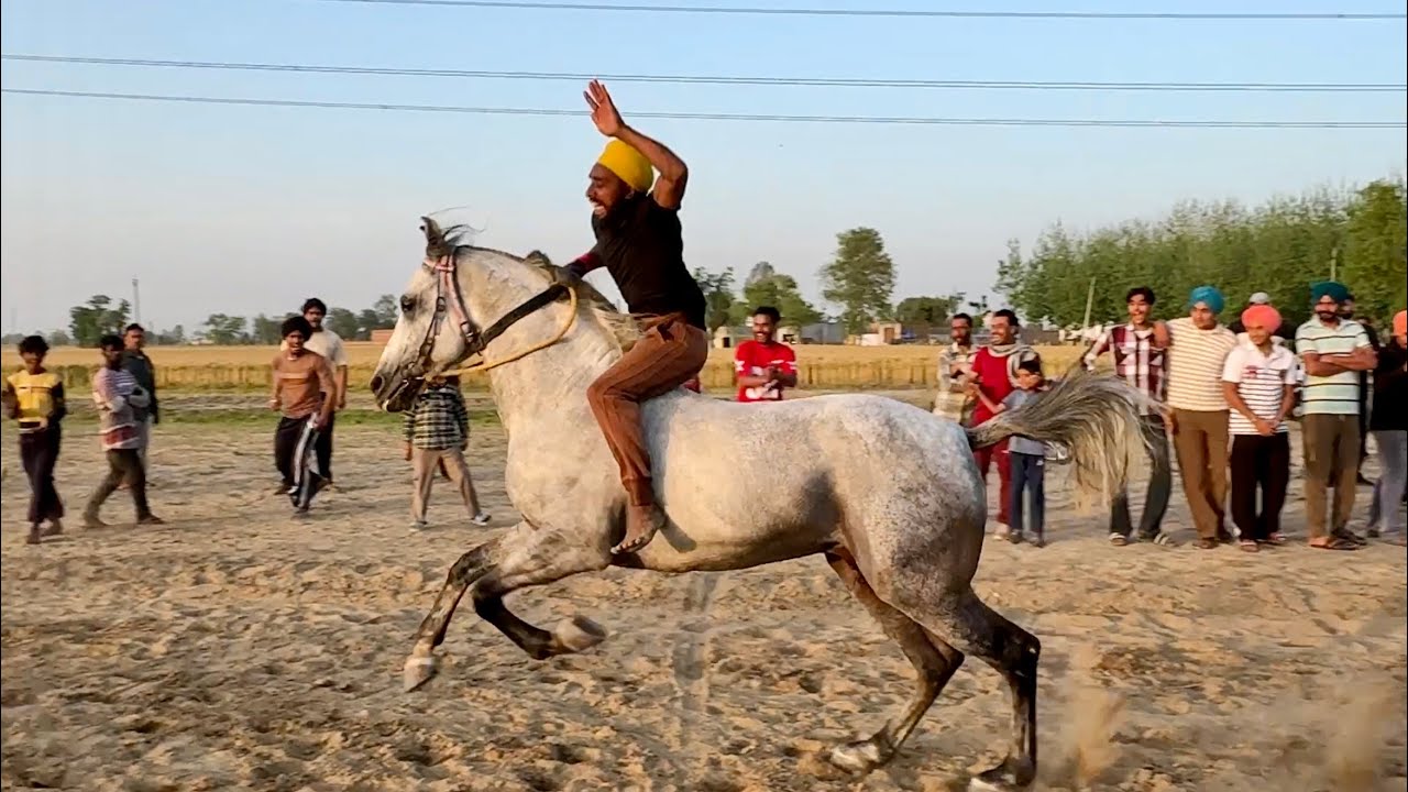 📍Dehliz Kalan || Horse Racing 🏇 || 2 April’25 @marwarihorselovers