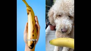 Banana hack! 🍌