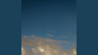 The Mermaids Bargain