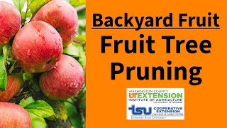 Backyard Fruit: Fruit Tree Pruning