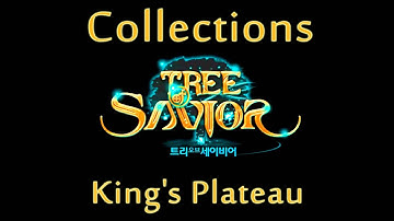 Tree of Savior Collections - King