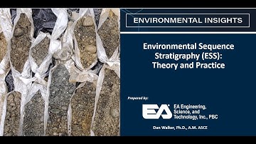Webinar: Environmental Sequence Stratigraphy in Theory and Practice