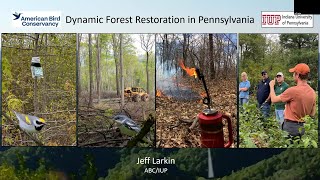 Dynamic Forest Restoration in Pennsylvania- Dr. Jeff Larkin- Episode 30