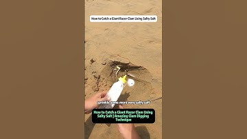 How to Catch King Razor Clams Using Salt | Razor Clam Digging Technique Explained