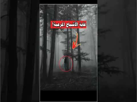 اكثر الاماكن رعب في العالم مقاطع قصص معلومات حكمة اكسبلور 