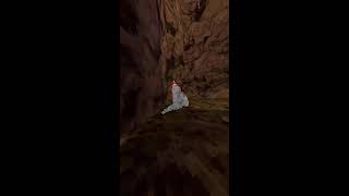 Running 20 laps around forest in code mrpartyhat