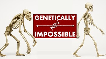 De evolutie in minder dan 5 minuten vernietigen