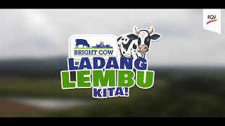 SUSU SEGAR BRIGHT COW, DARI LADANG LEMBU KITA! screenshot 1