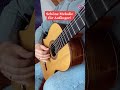 SCHÖNE MELODIE FÜR ANFÄNGER | GITARRE | GITARRENSPIEL