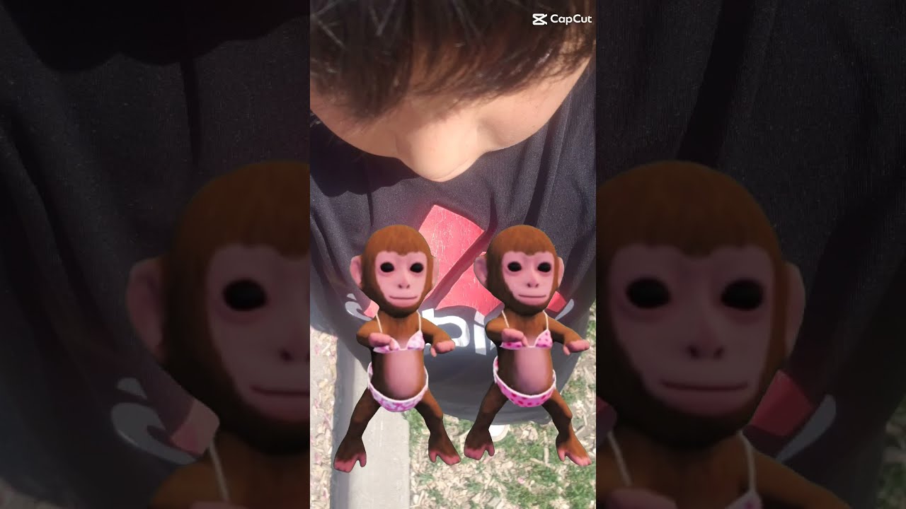 Oh Nah Bruh They Got Monkeys Danceing
