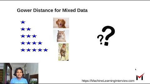 Gower Distance for Mixed Data