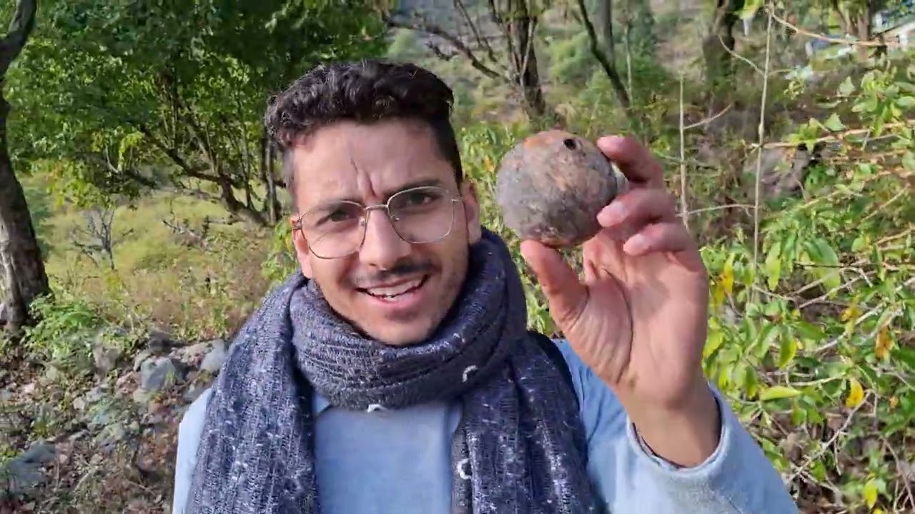 Finally gau pahuch gae daily vlogs