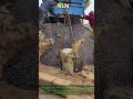Watch This INSANE Well Building Hack!
