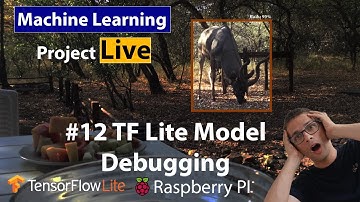 #12 Live Coding - Tensorflow Image Classification with Transfer Learning - TF Lite Model Debugging