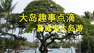 夏威夷大岛12天深度游（第一天）, 夏威夷大岛东西两边的人互不往来？玩大岛住在哪里好？#夏威夷 #夏威夷大岛 #hawaii #自驾游