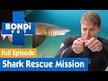 🦈 Dr Chris Brown's Shark Rescue Mission | FULL EPISODE | S07E15 | Bondi Vet