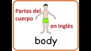 Partes del cuerpo en inglés para niños y principiantes. Video educativo