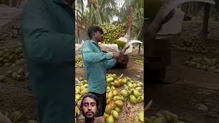 #mango #fruit #coconut #satisfying #farming #trending #cuttingart #funny