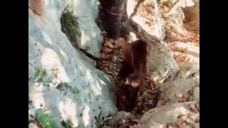 Argo climbing