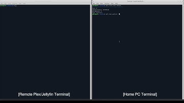 Plex & Jellyfin IPFS Networked Content Demo