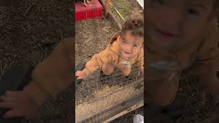 BABY TWINS FEEDING CHICKENS