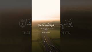 سورة الزلزلة- الشيخ خالد الجليل #quran  #قرآن #خالد_الجليل