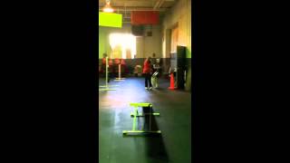 Beginner's Agility Class Week 2