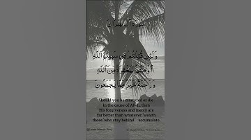 Surah Al Imran Ayat No 3 :157.158 | Arabic  | سورة ال عمران | With English Translation verses #quran