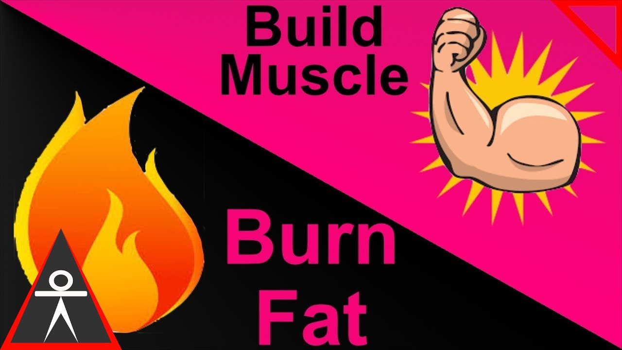 calisthenics workout program for beginners How to Burn Fat and Build Muscle in the Same Workout Routine