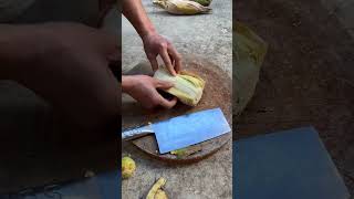 Farmingenjoyrurallifenatureruralliferurallifevegetablesgardenrogatorshorts