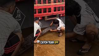 Why Did Police Make Him Cut The Mudflap?