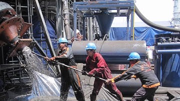 THE CATALYST EXPERIENCE