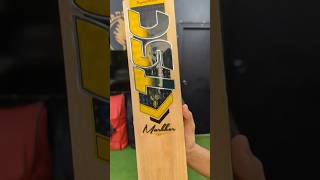 🏏 Markhor Cricket Bat – Power, balance & control for every innings. Play with confidence! 🔥
