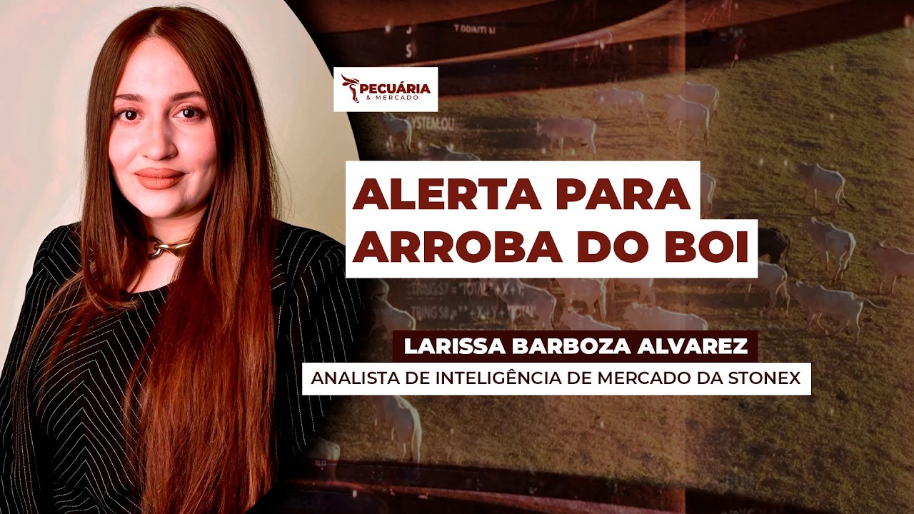 Prolongamento do conflito no Oriente Médio pode impactar movimento de alta da arroba